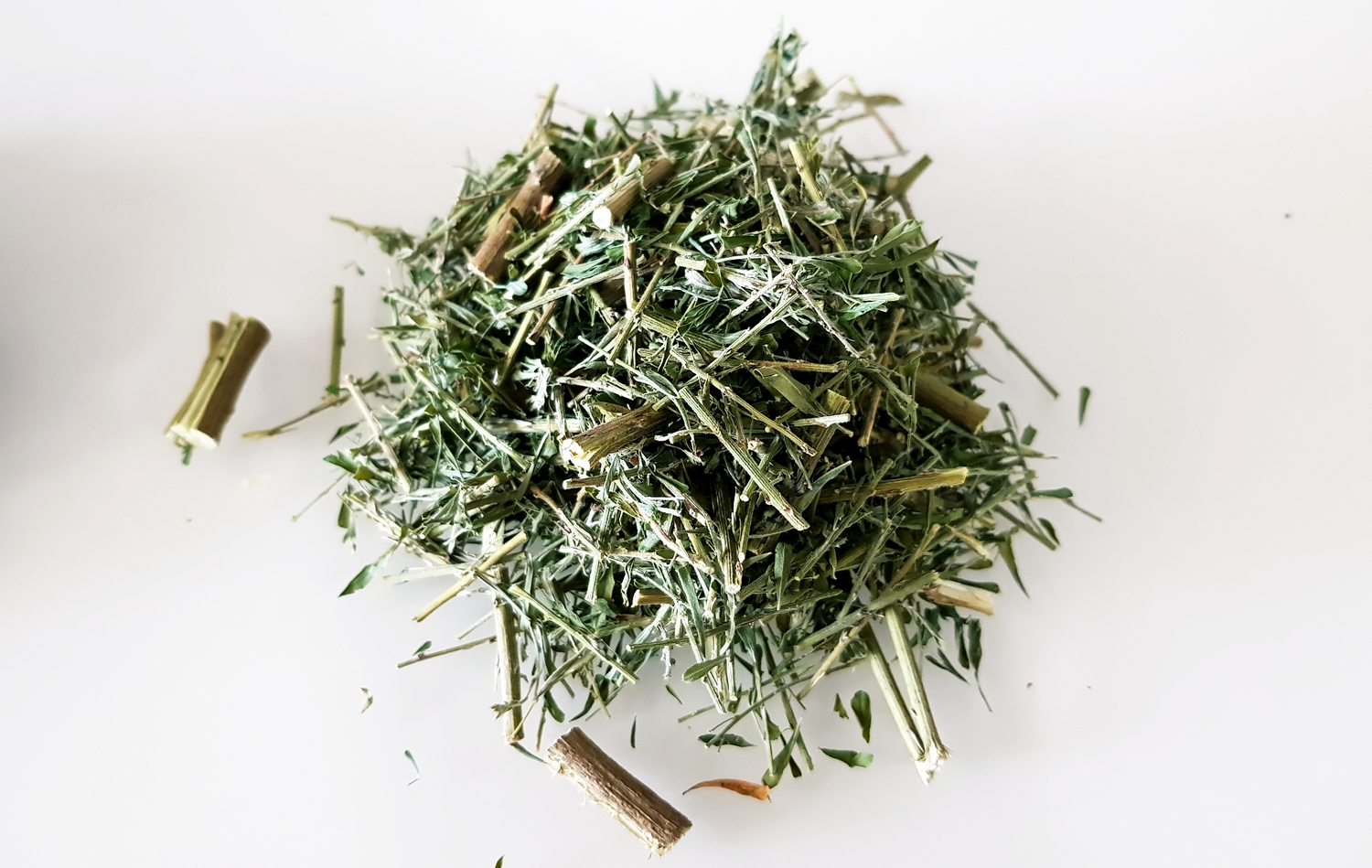 Korean Lespedeza 